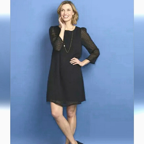 Claudie Pierlot Paris Rififi Dress. Sleeves. Navy Blue. Plumetis Dotted. 6 US. - Picture 1 of 14